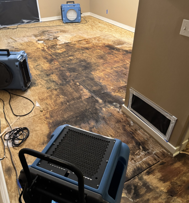 alt="mold removal Altamonte Springs"